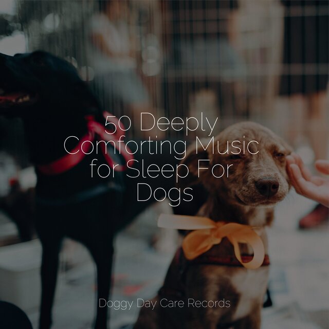 50 Deeply Comforting Music for Sleep For Dogs