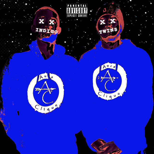 Indigo Twins