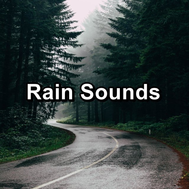 Rain Sounds