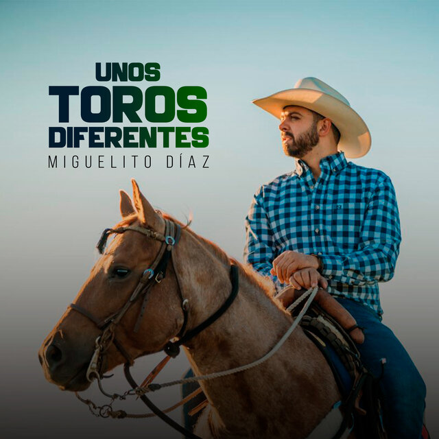 Unos Toros Diferentes