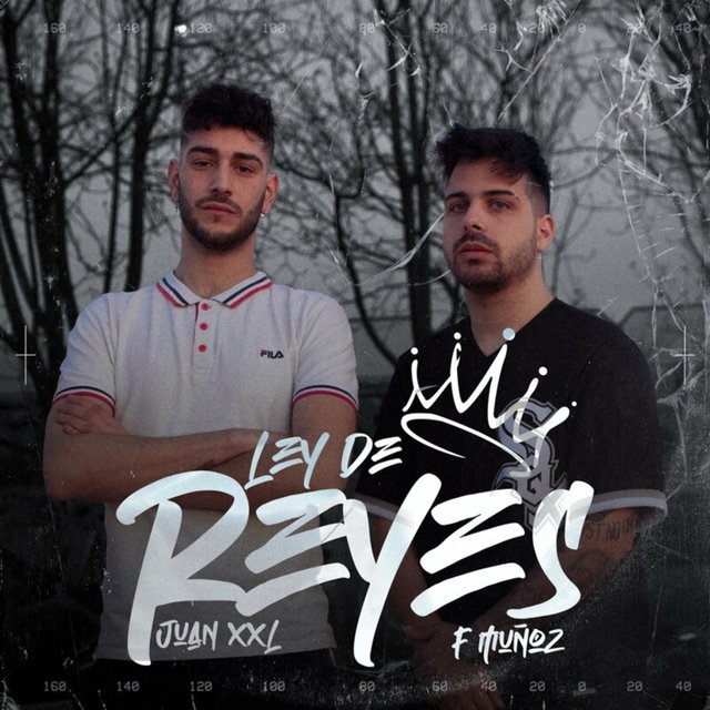 Ley de Reyes