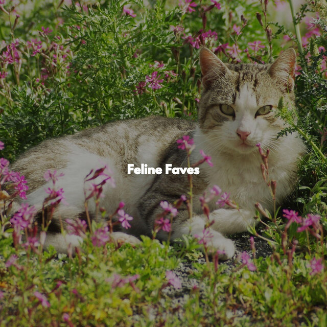 Feline Faves