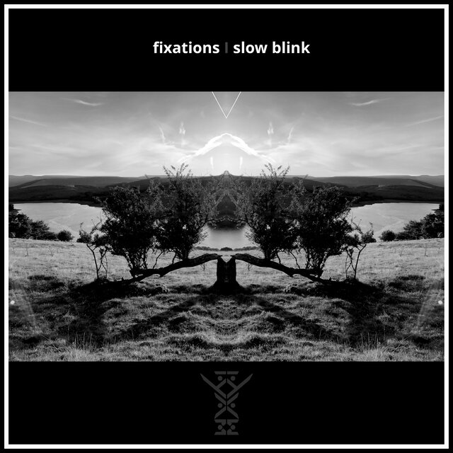 Fixations / Slow Blink