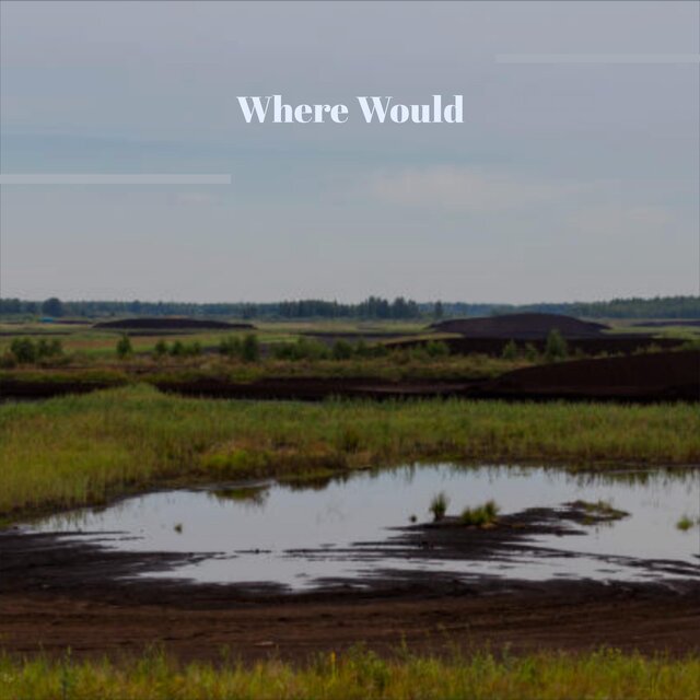 Where Would