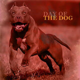 Day of the Dog