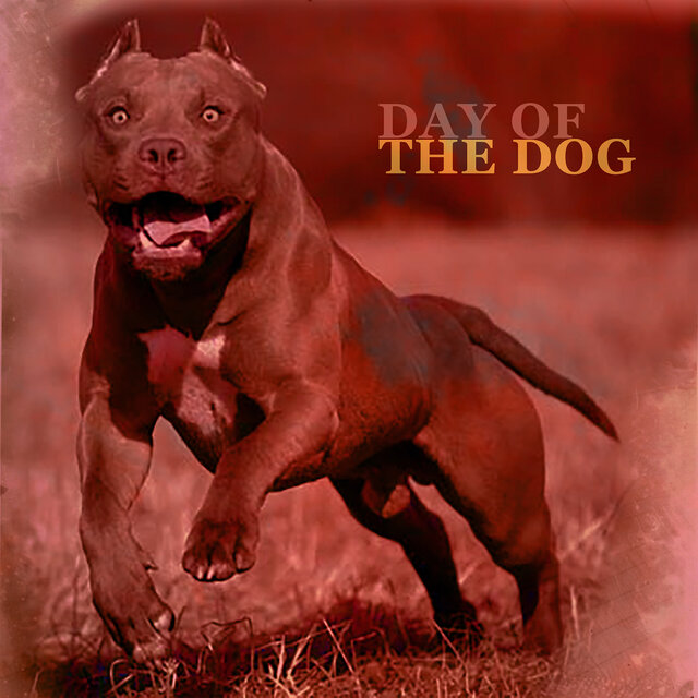 Day of the Dog