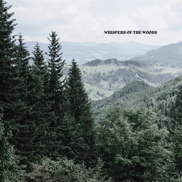 Whispers of the Woods
