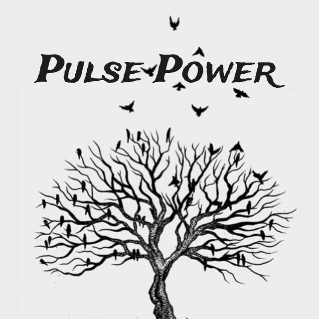 Pulse Power