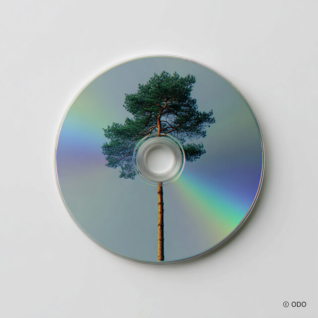 Pine Overlay