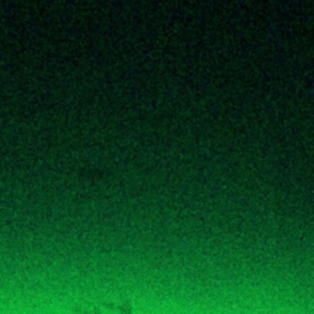 SIEMPRE TE ENCUENTRO CUANDO CAE LA NOCHE, NIGHTVISION!