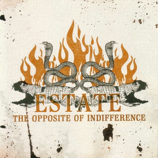 The Opposite Of Indifference