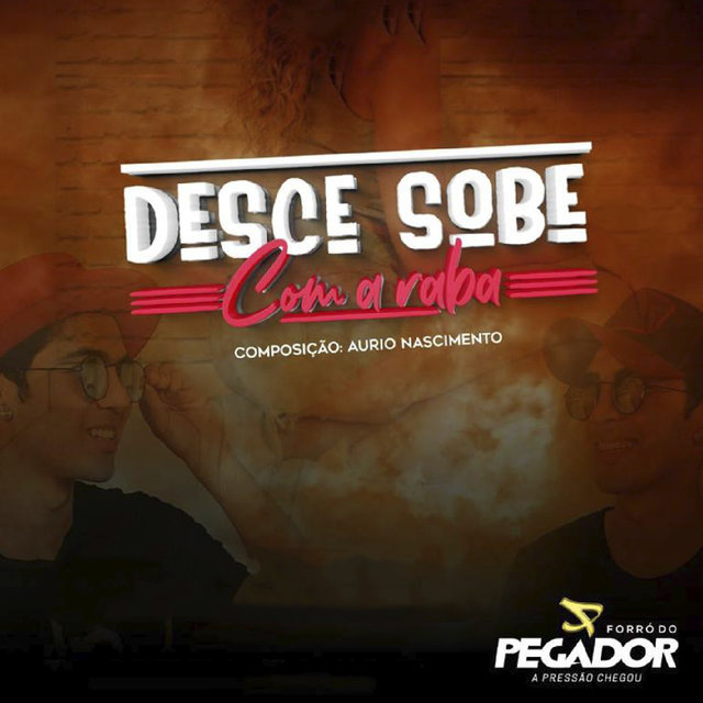 Cover art for album  by Forró do Pegador