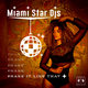 Cover art for album Shake It Like That by Miami Star DJs