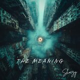 The Meaning