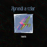 Aprendí a volar