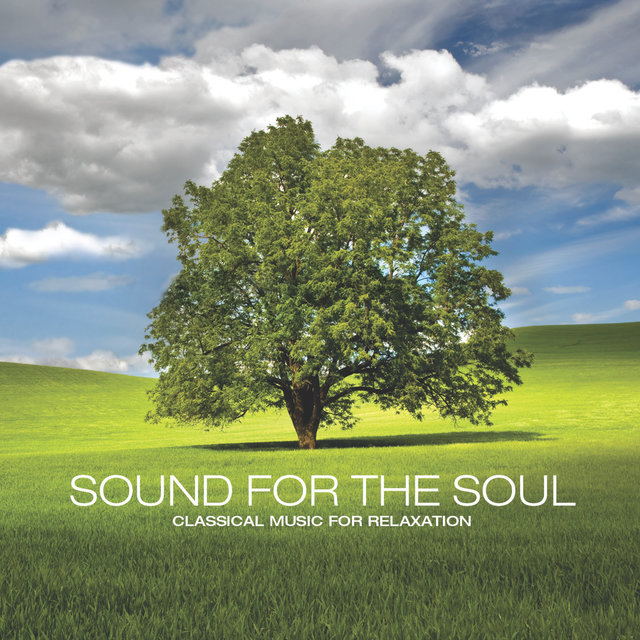 Sound for the Soul: Classical Music for Relaxation