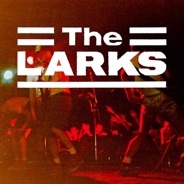 The Larks Live in Coventry 