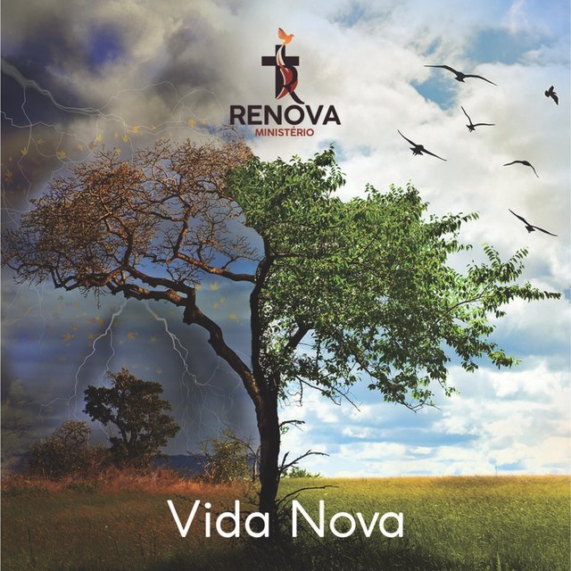 Vida Nova