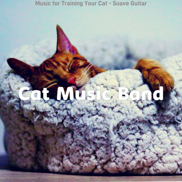 Music for Training Your Cat - Suave Guitar