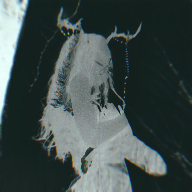 Everything Fell Apart So Gently, As If It Never Meant To Stay, Back Again