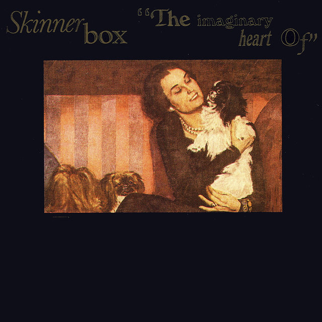 Cover art for album The Imaginary Heart Of by Skinnerbox NYC
