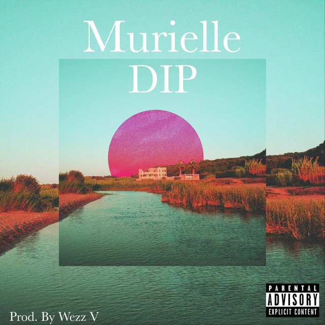 Dip
