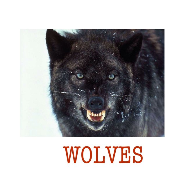 Wolves