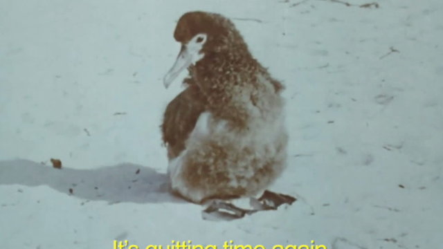 Quittin' Time (Lyric Video)