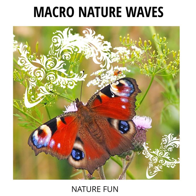 Macro Nature Waves - Nature Fun