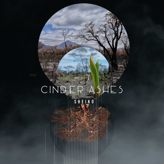Cinder Ashes