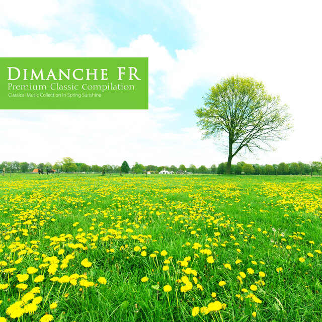 Classical Music Collection with Spring Sunshine