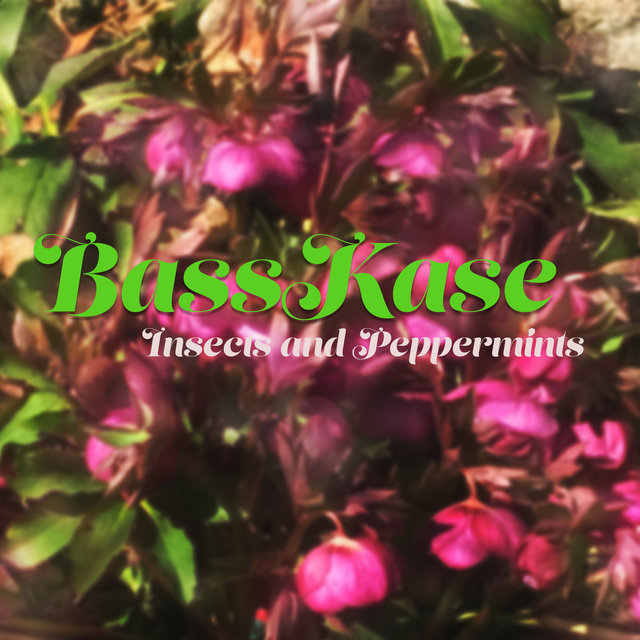 Insects And Peppermints