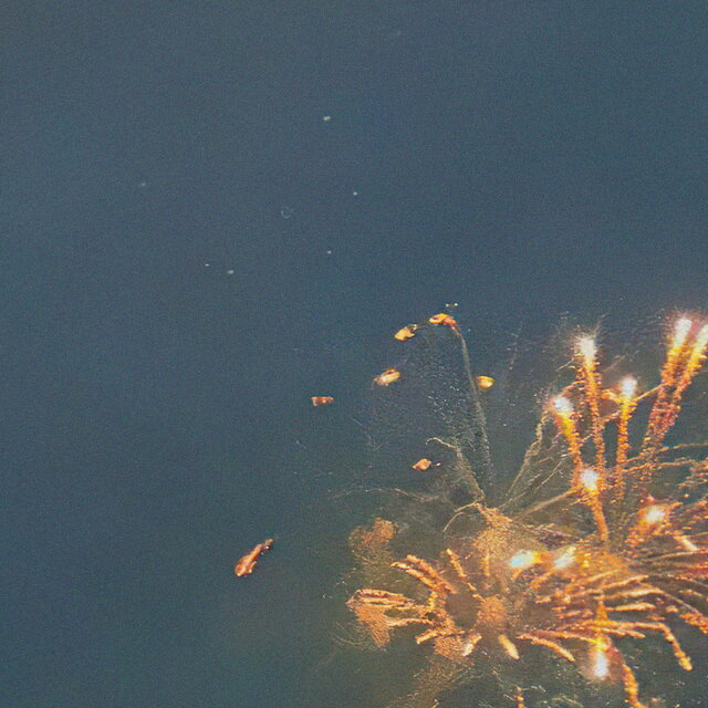 여울