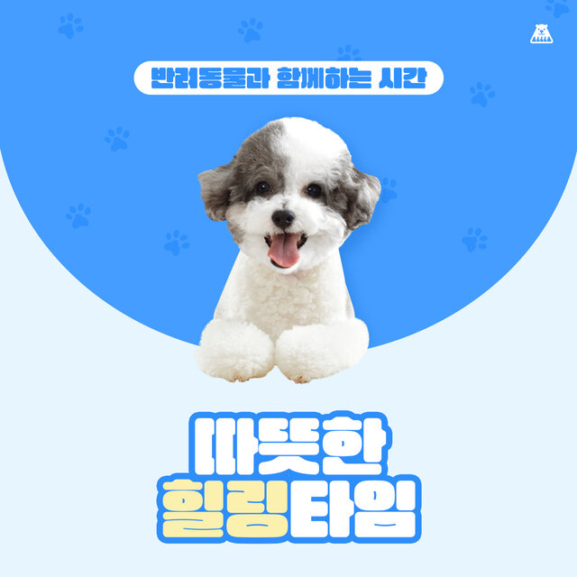 반려동물과 함께하는 시간 [따듯한 힐링타임]