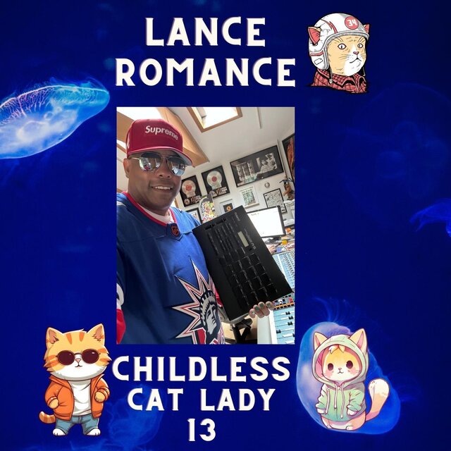 Childless Cat Lady 13