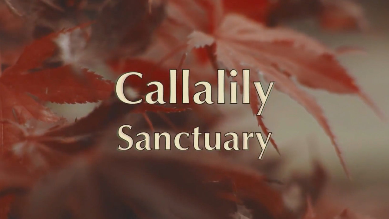 Sanctuary