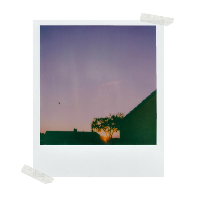 Polaroid