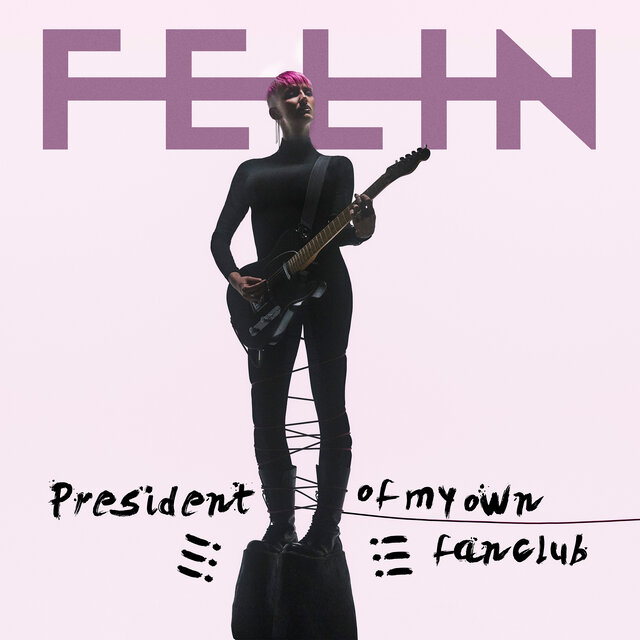 Cover art for album  by Felin