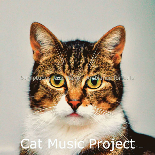 Sumptuous Jazz Piano - Ambiance for Cats