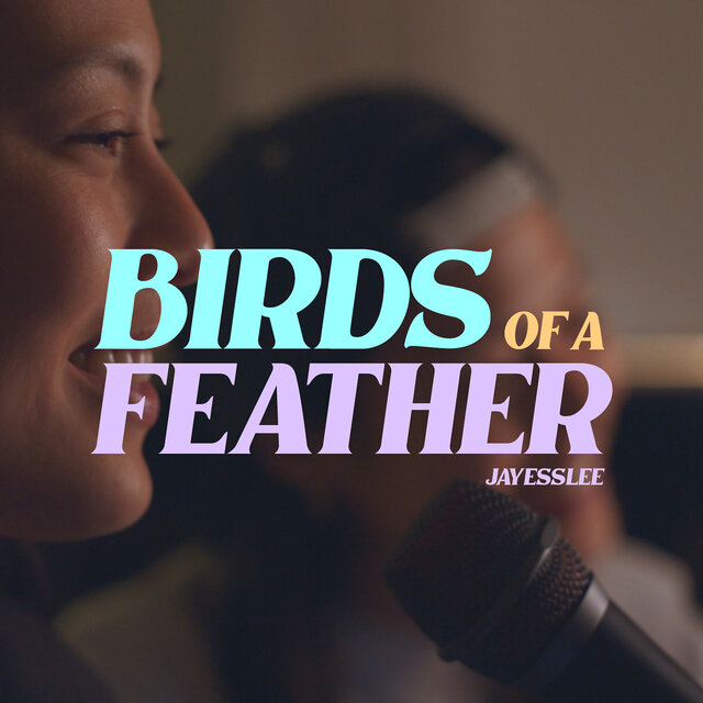 Birds of a Feather