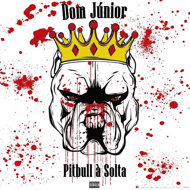 Pitbull à Solta