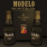 Modelo