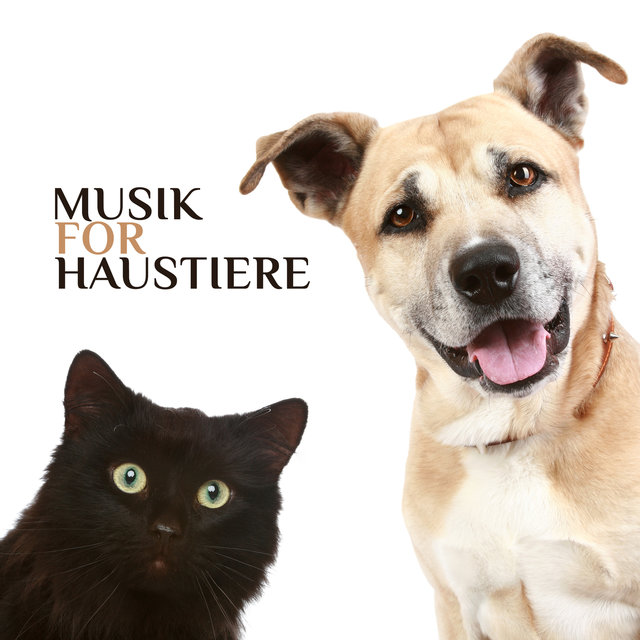 Musik für Haustiere: Beruhigende Schlafmusik für Haustiere, Stressabbau, Beruhigung