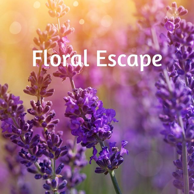 Floral Escape