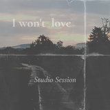 I Won't Love