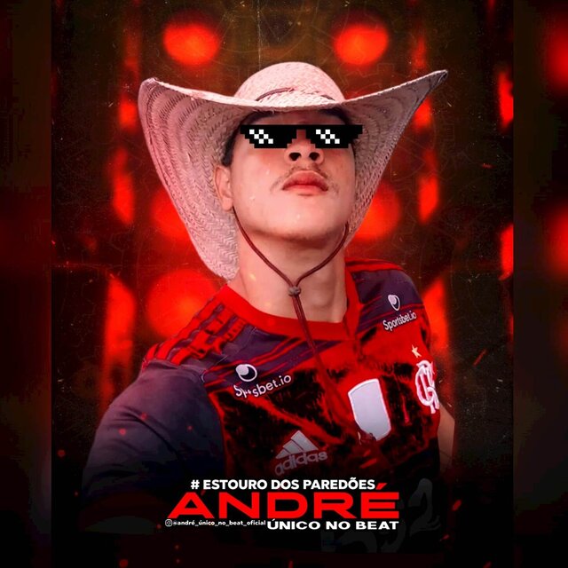 Forrozin Agoniado VOL 1
