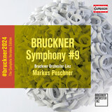 Symphony No. 9 in D Minor, WAB 109 (1894 Version, Ed. L. Nowak): I. Feierlich, misterioso
