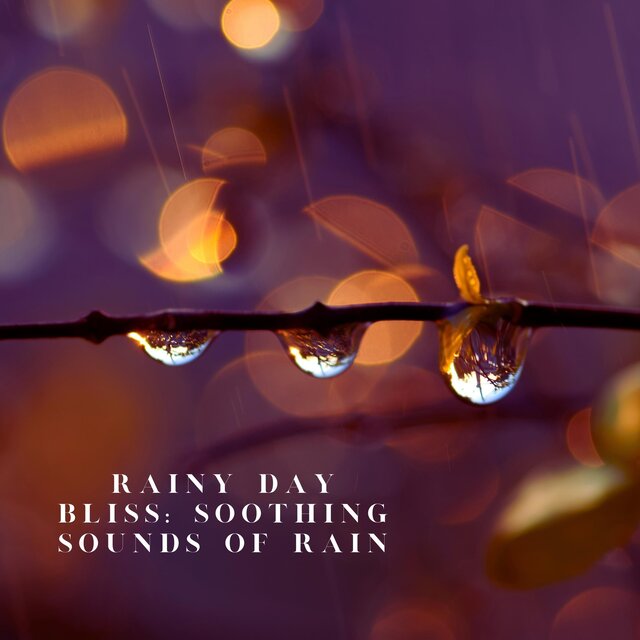 Rainy Day Bliss: Soothing Sounds of Rain