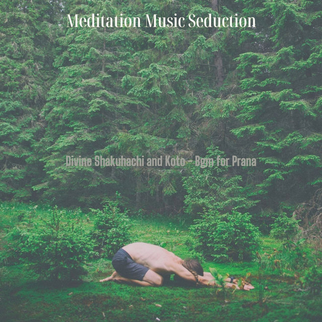 Divine Shakuhachi and Koto - Bgm for Prana