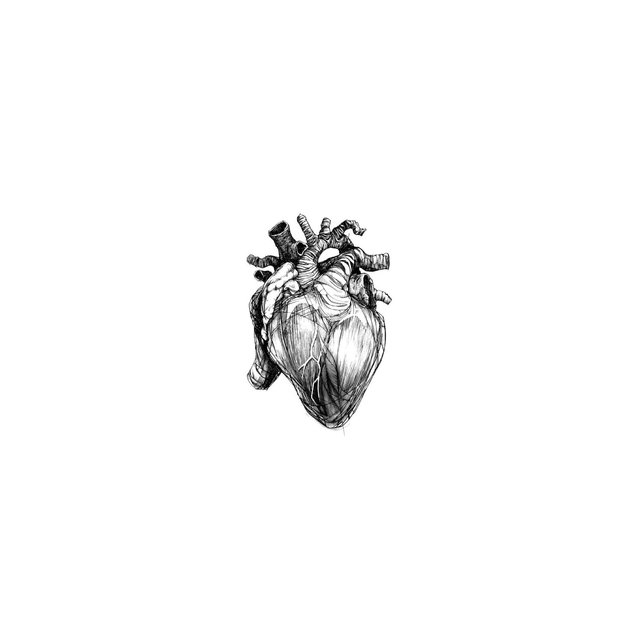 The Heart Capsule